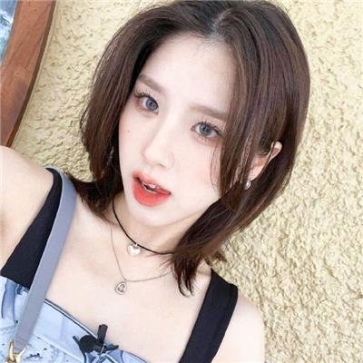 秋田犬蓬夫